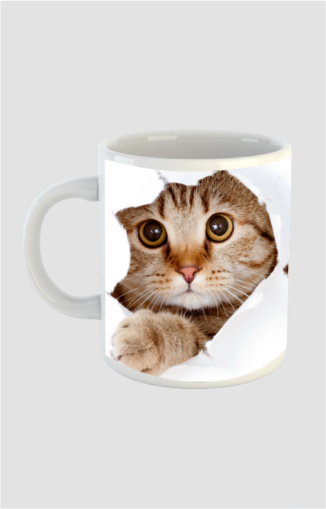 Cat on Cup